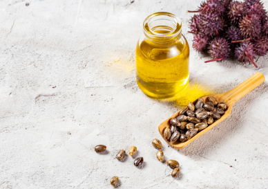"Beyaz yüzey üzerinde bir şişe Hint yağı (Castor Oil), Hint bitkisinin taze yeşil yaprakları ve tohum kapsülleri yer alıyor. Görsel, Hint yağı üretiminin doğal kaynağını vurguluyor."