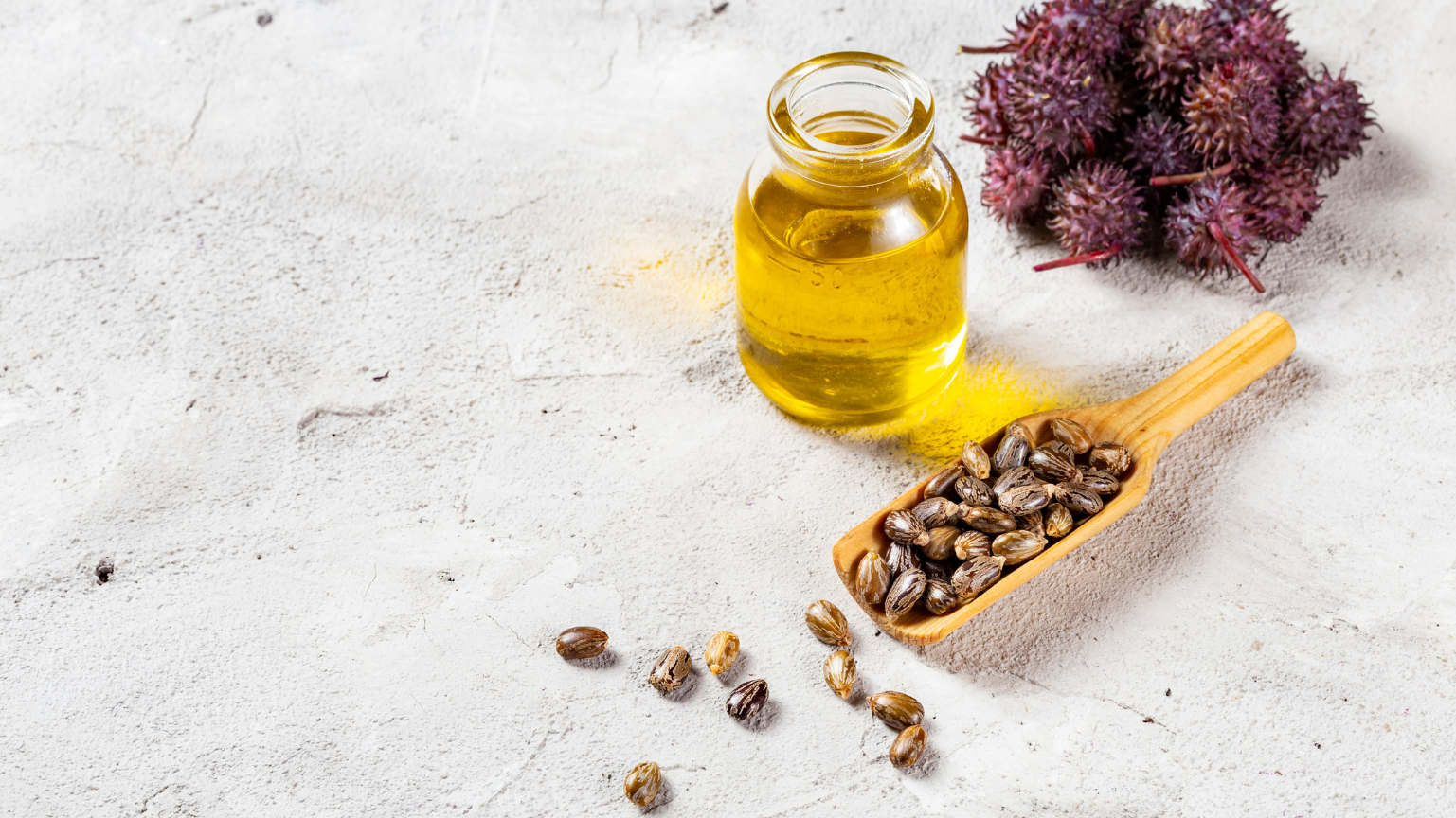 "Beyaz yüzey üzerinde bir şişe Hint yağı (Castor Oil), Hint bitkisinin taze yeşil yaprakları ve tohum kapsülleri yer alıyor. Görsel, Hint yağı üretiminin doğal kaynağını vurguluyor."